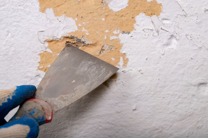 Prepares for Fresh Paint Application